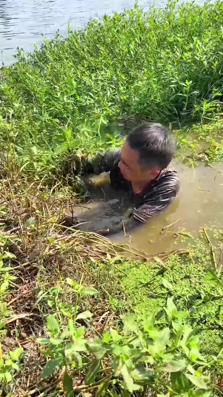 洪湖的鳝鱼大是大，深水的泥也是真的硬。有想体验一下的小伙伴没？告诉我