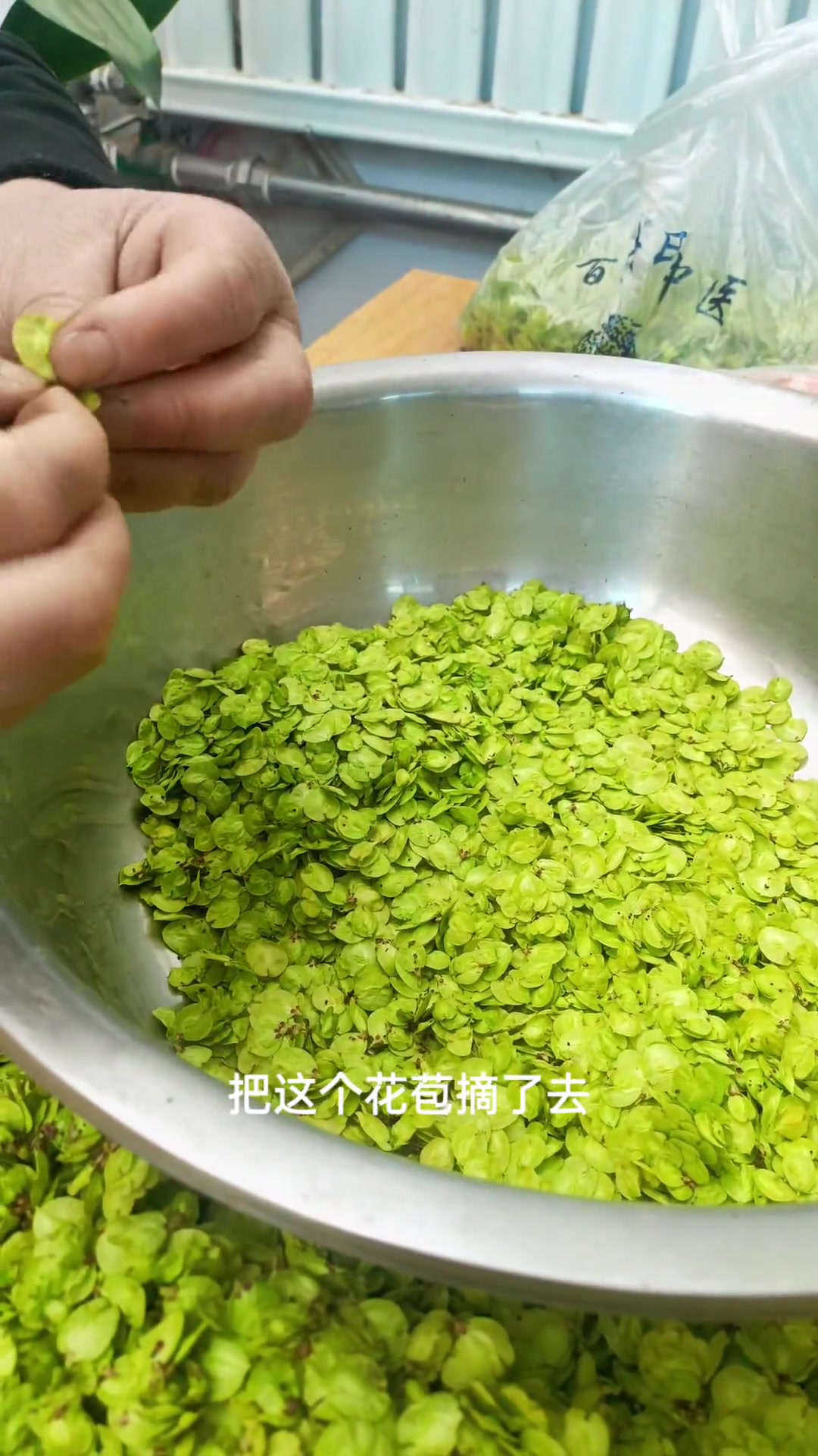 鱼圈树今年长势差,处理鱼圈及烹饪前准备