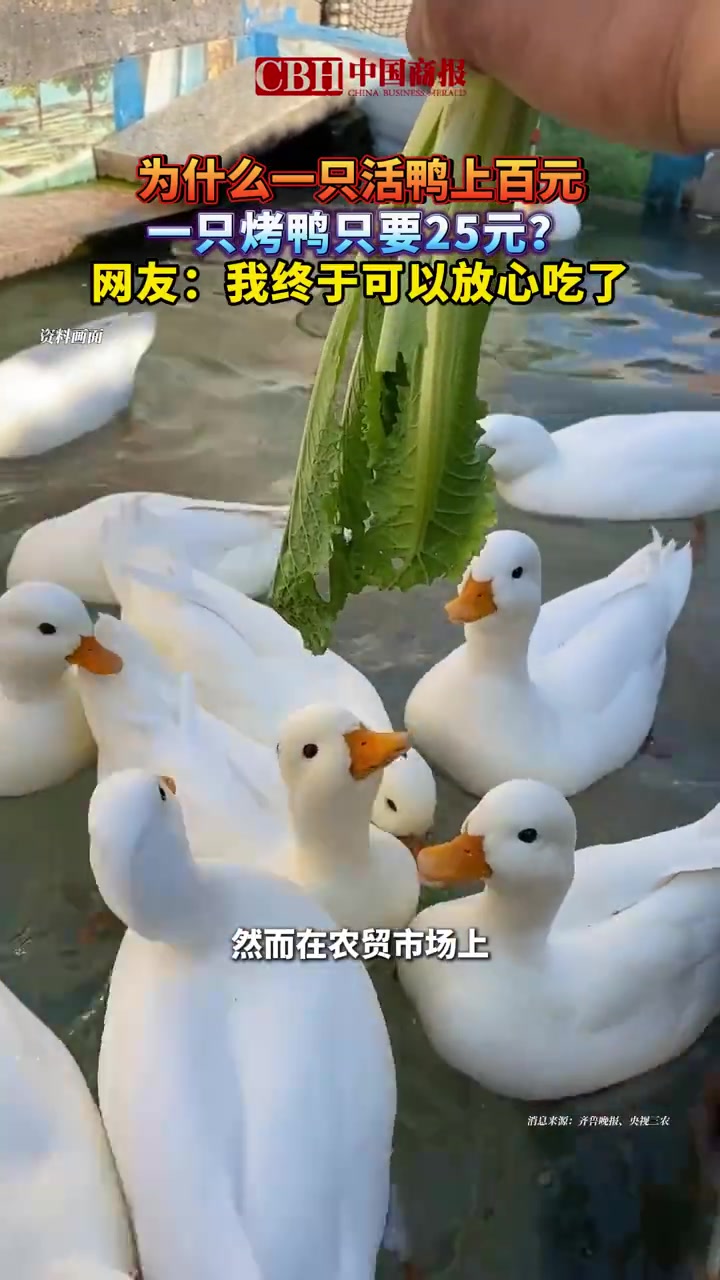 「为什么一只活鸭上百元,一只烤鸭只要25元?」“鸭子25元一只,每天现做现卖,高峰期一天能