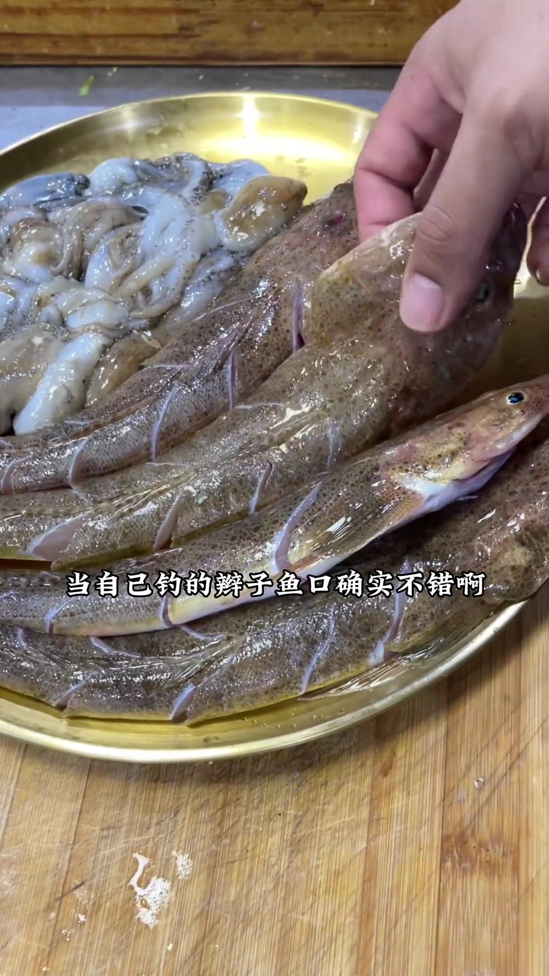 辫子鱼焖八爪鱼，八爪鱼焖鱼