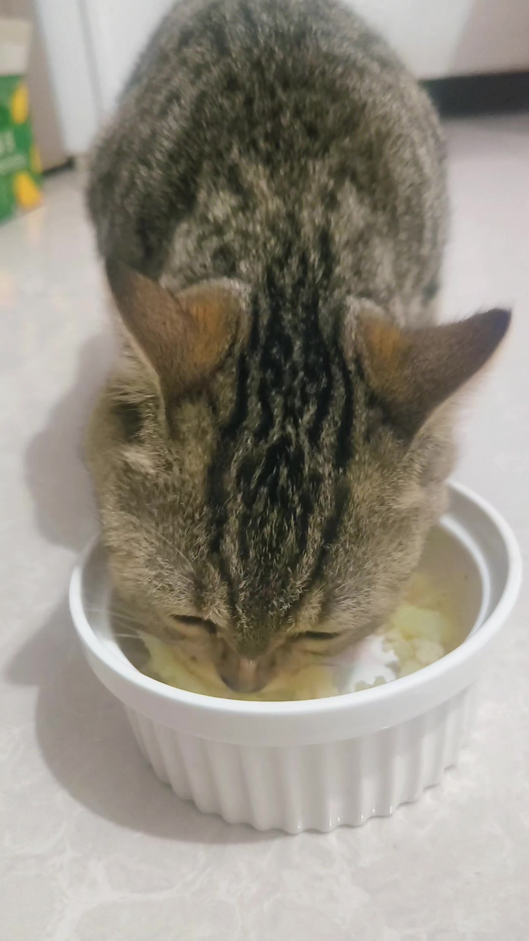 小猫把菜花吃出肉的感觉