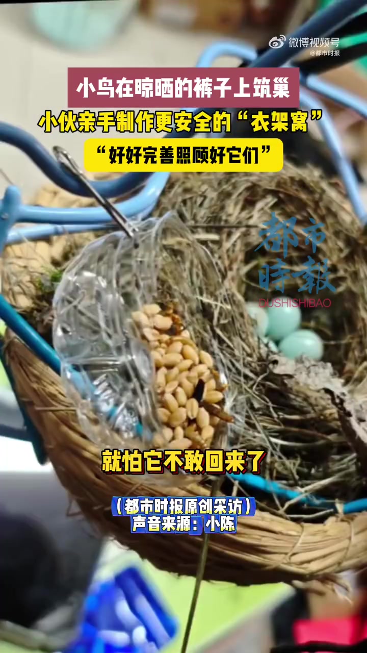 近日,贵州贵阳一高校大四学生小陈晾晒衣物时,意外发现室友的裤子上竟被小鸟筑起了巢,窝里还静