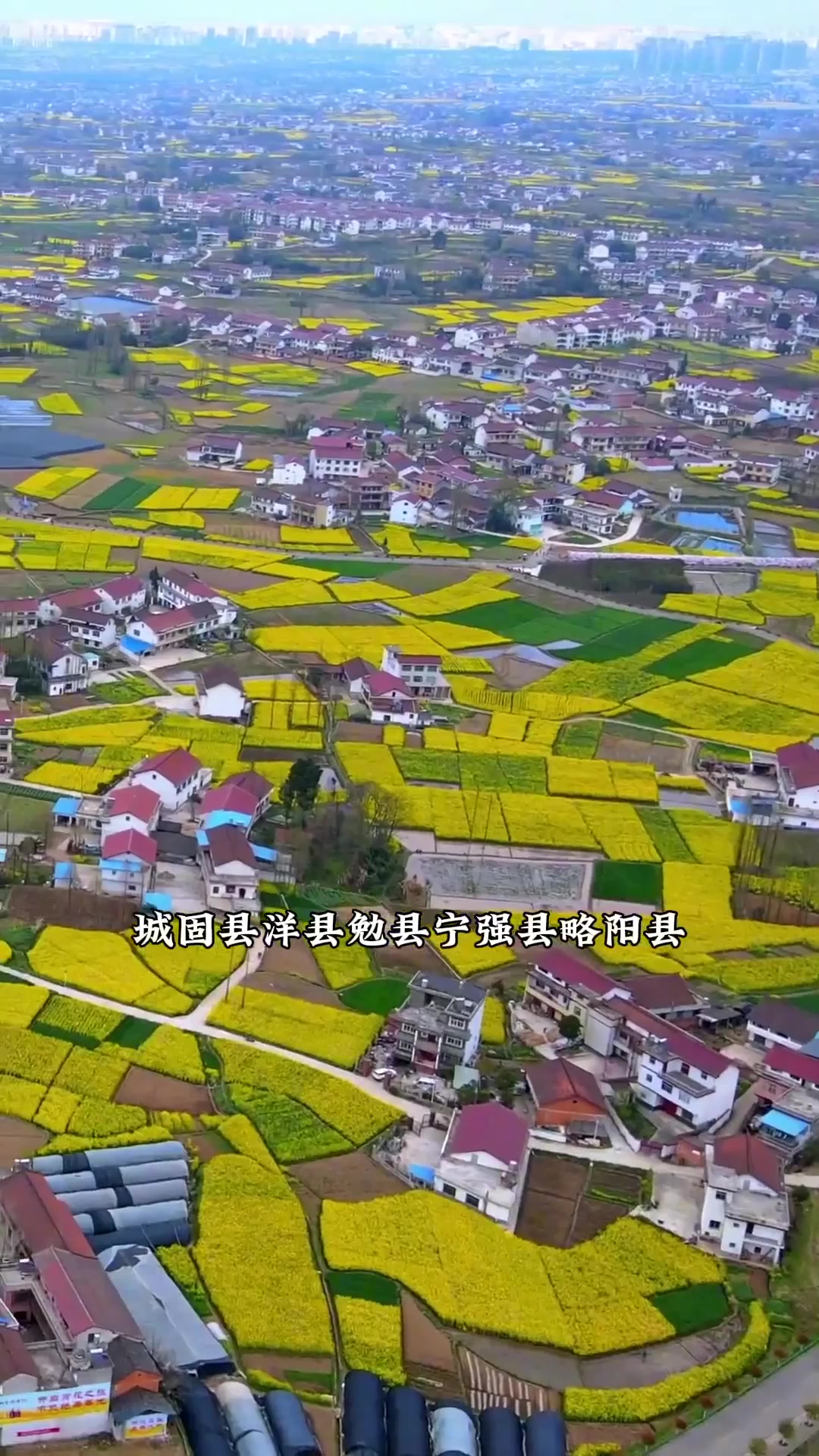 夏日旅游，大美中国，陕西汉中油菜花海已经盛开，这里是中国最美