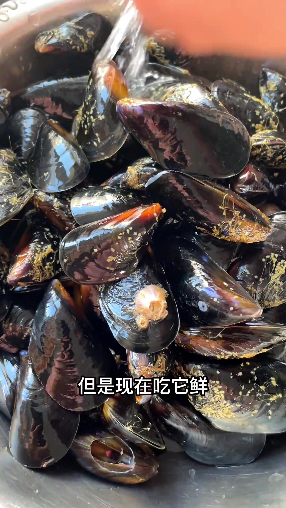 怎样煮出来海虹嫩鲜、以后这样煮煮试试