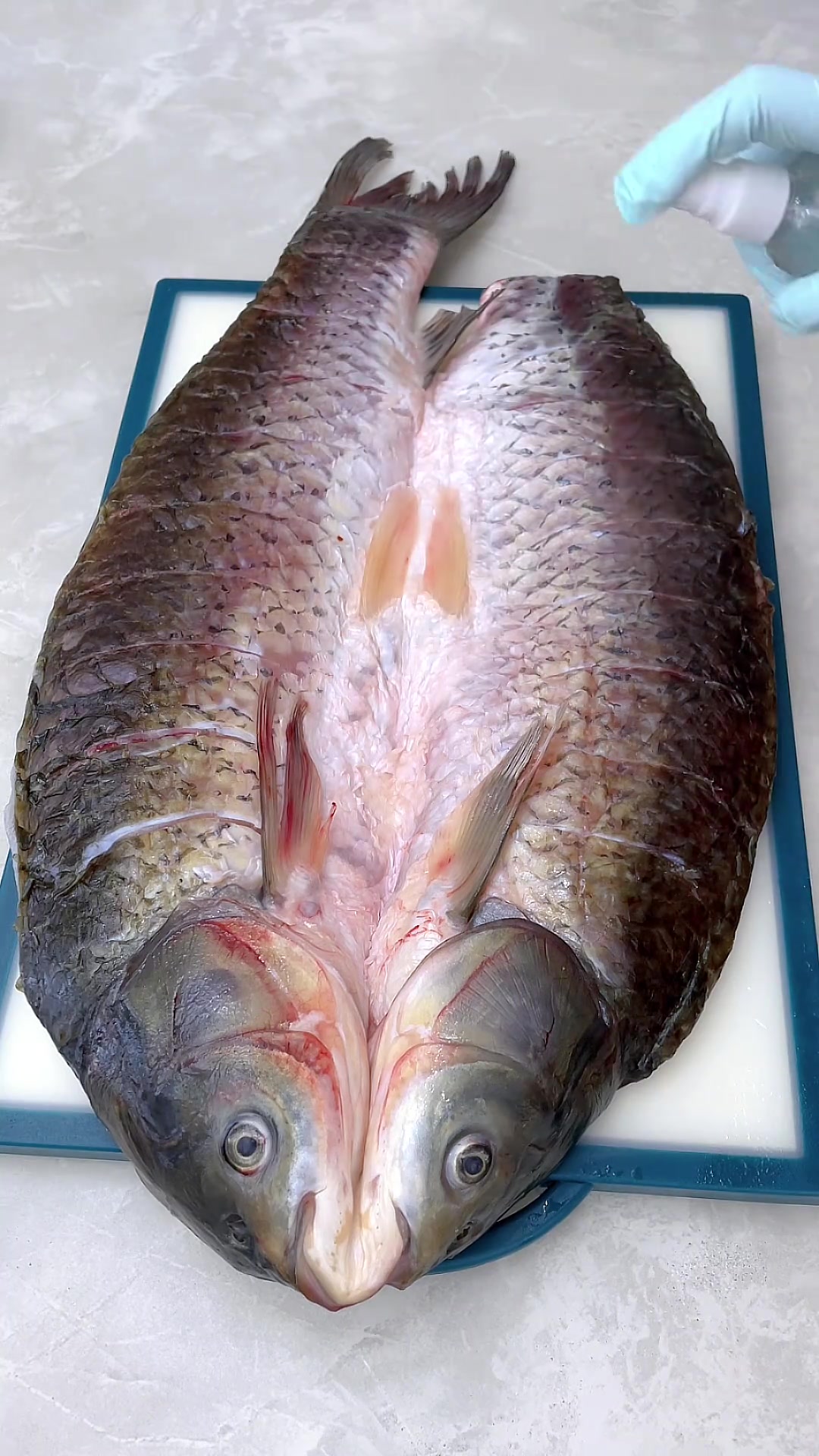 我是不是最后一个腌腊鱼的～