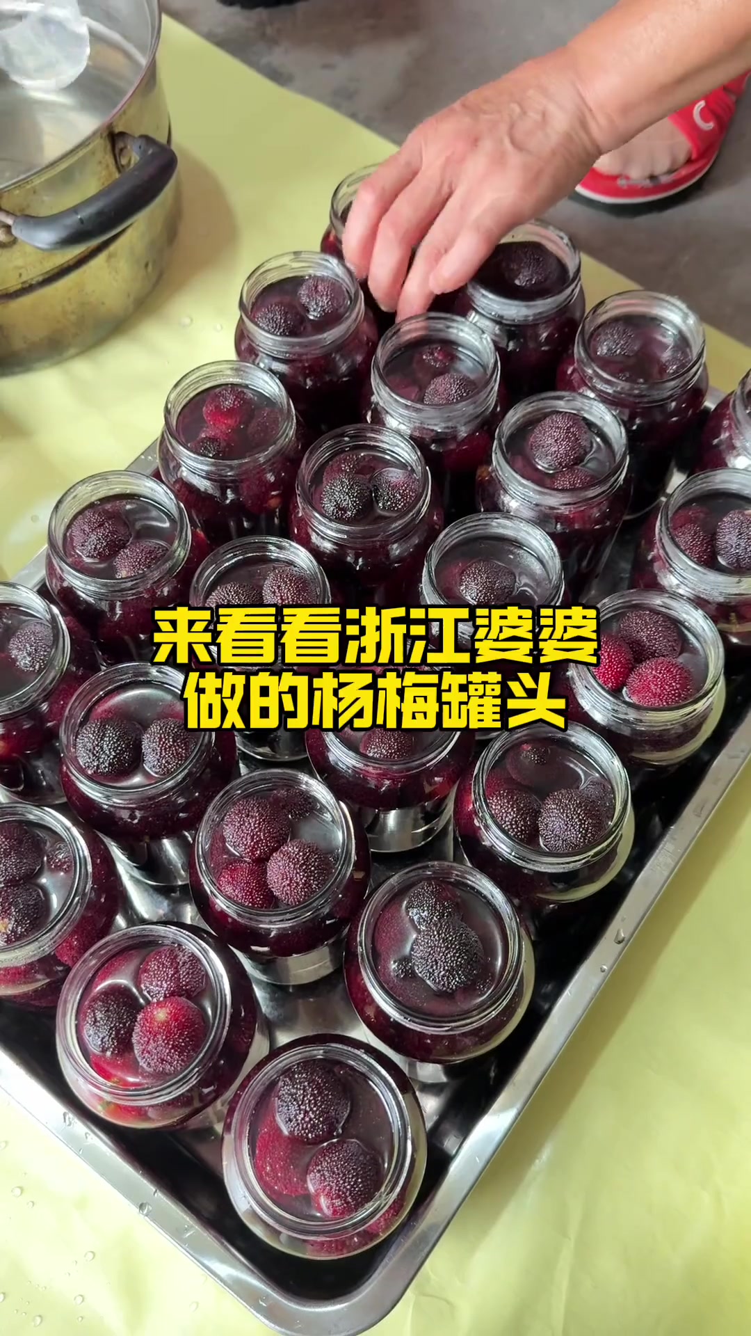 杨梅汤杨梅罐头浙江人的杨梅汤。杨梅季必须开启自制杨梅罐头模式。这个夏天“梅”它不行