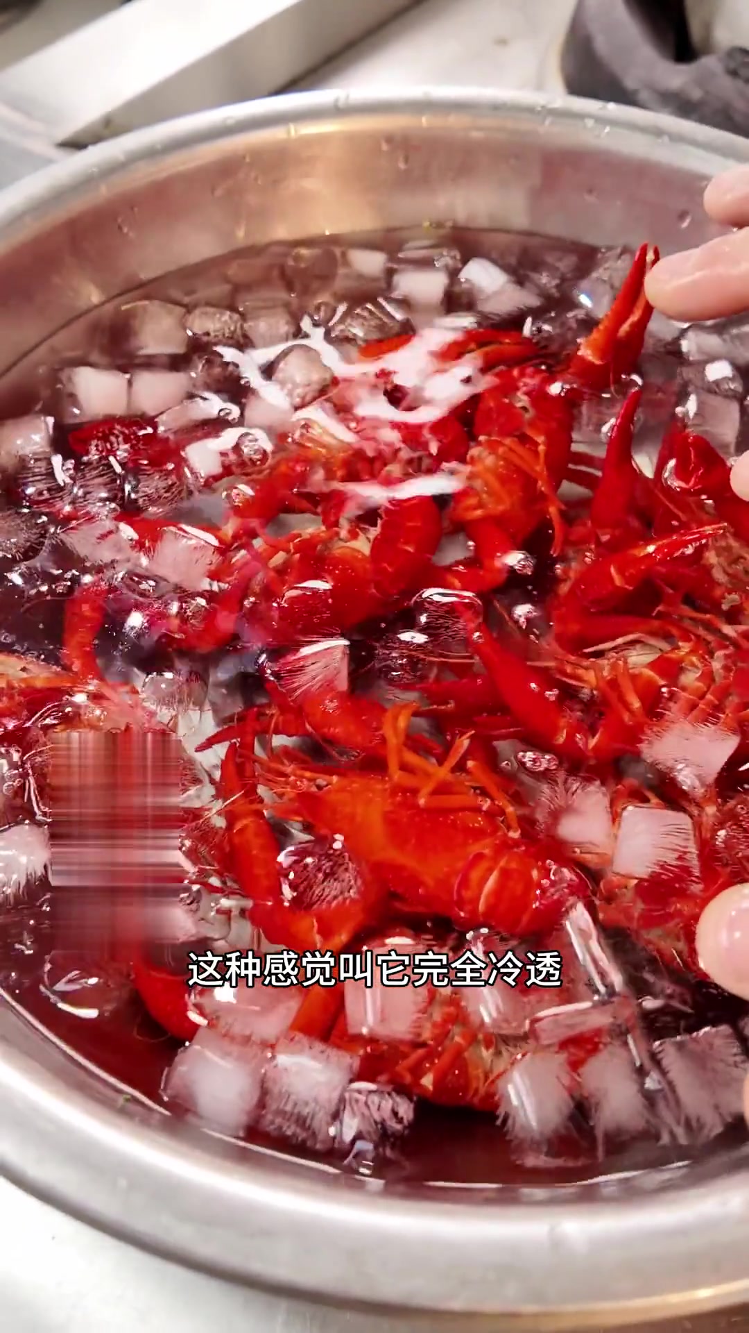 米其林三星冰醉小龙虾做法，酒香十足超鲜甜！