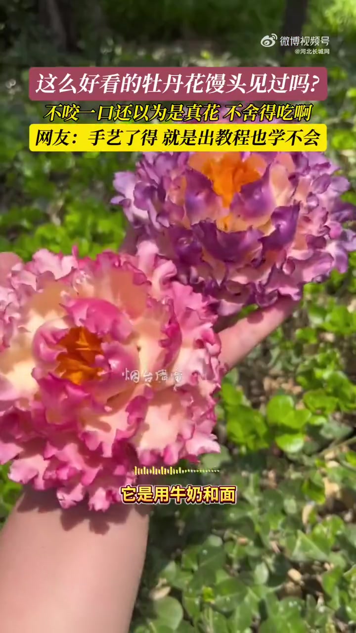 「馍界天花板!这么好看的牡丹居然是馒头」女子晒出自己做的牡丹花馒头6月11日(采访时间),