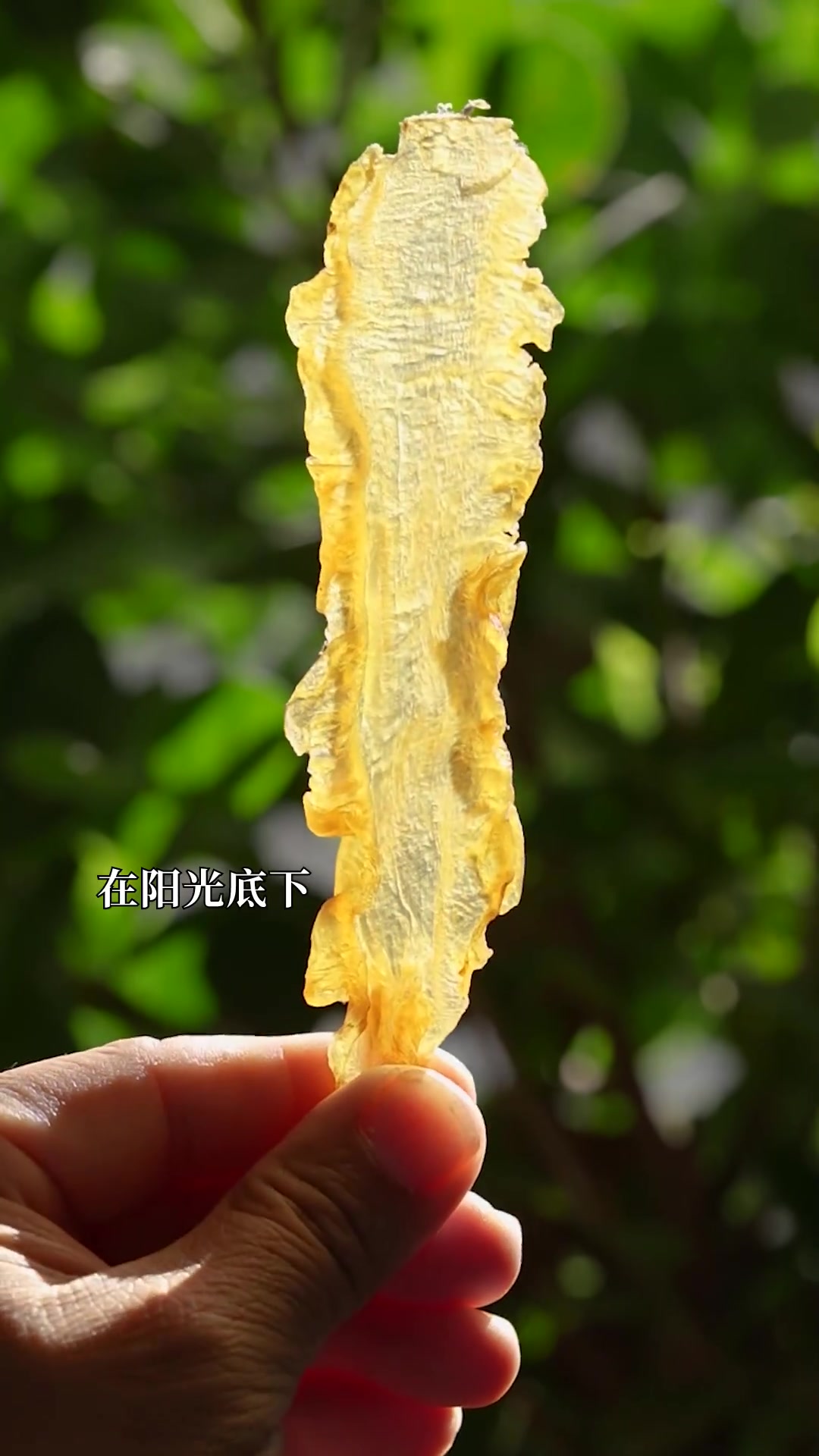 一顿鳕鱼胶，用来补偿老婆再合适不过了