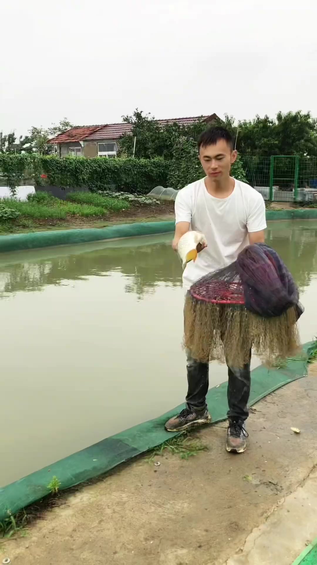 撒网捕鱼 撒网 撒网捕鱼