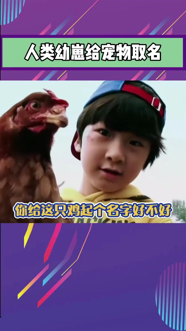 明星小孩给宠物取名能有多搞笑！饺子给狗取名包贝尔