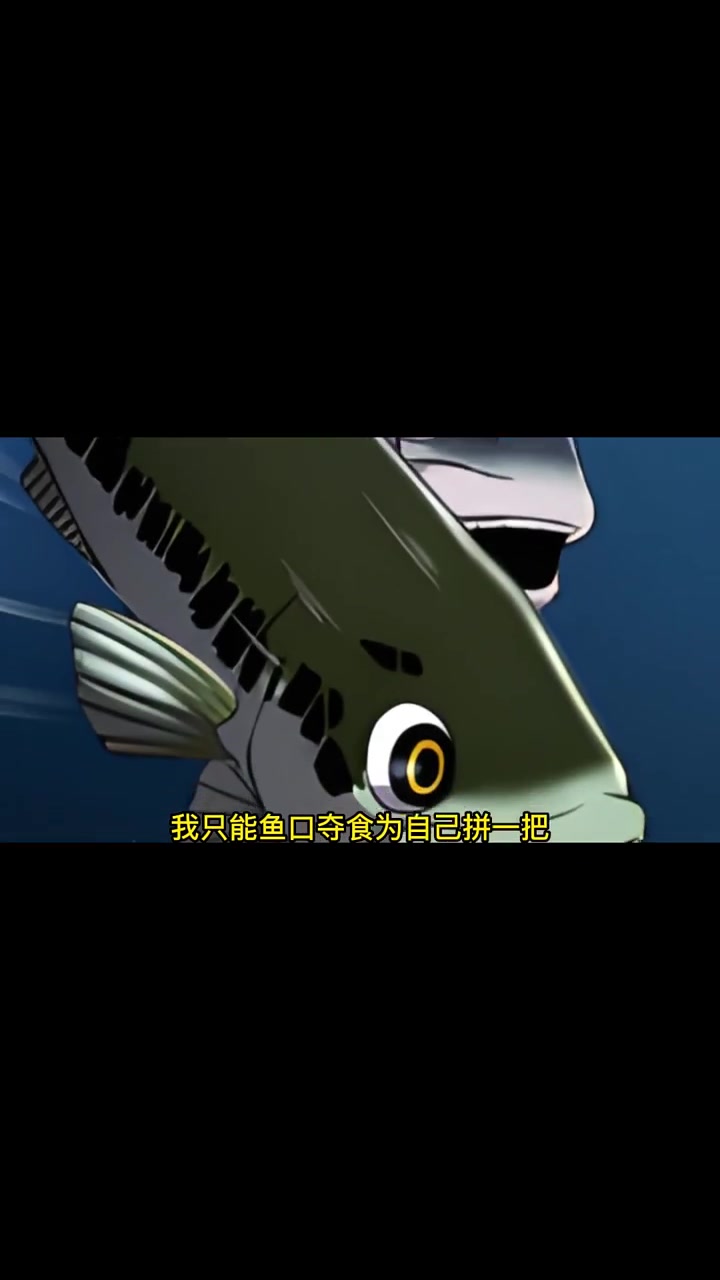 居然再次醒来变成一条鱼?!