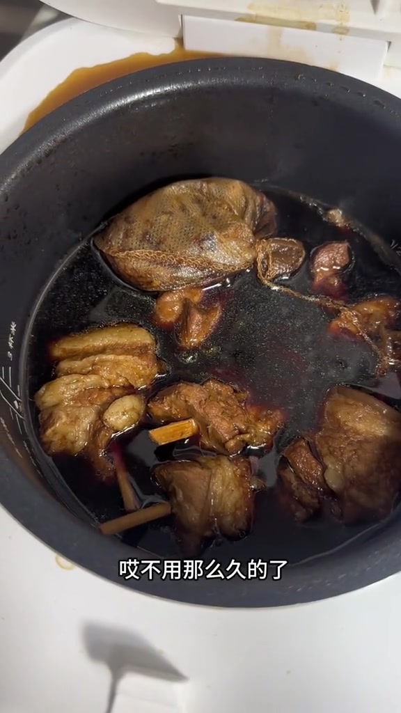 广东名菜：真·藤条焖猪肉！