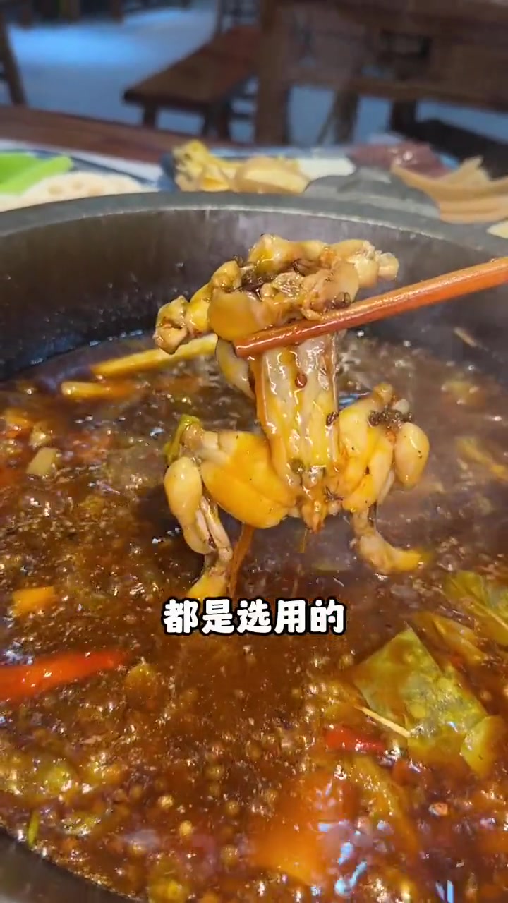 快看这群可爱的鱼鱼吃它