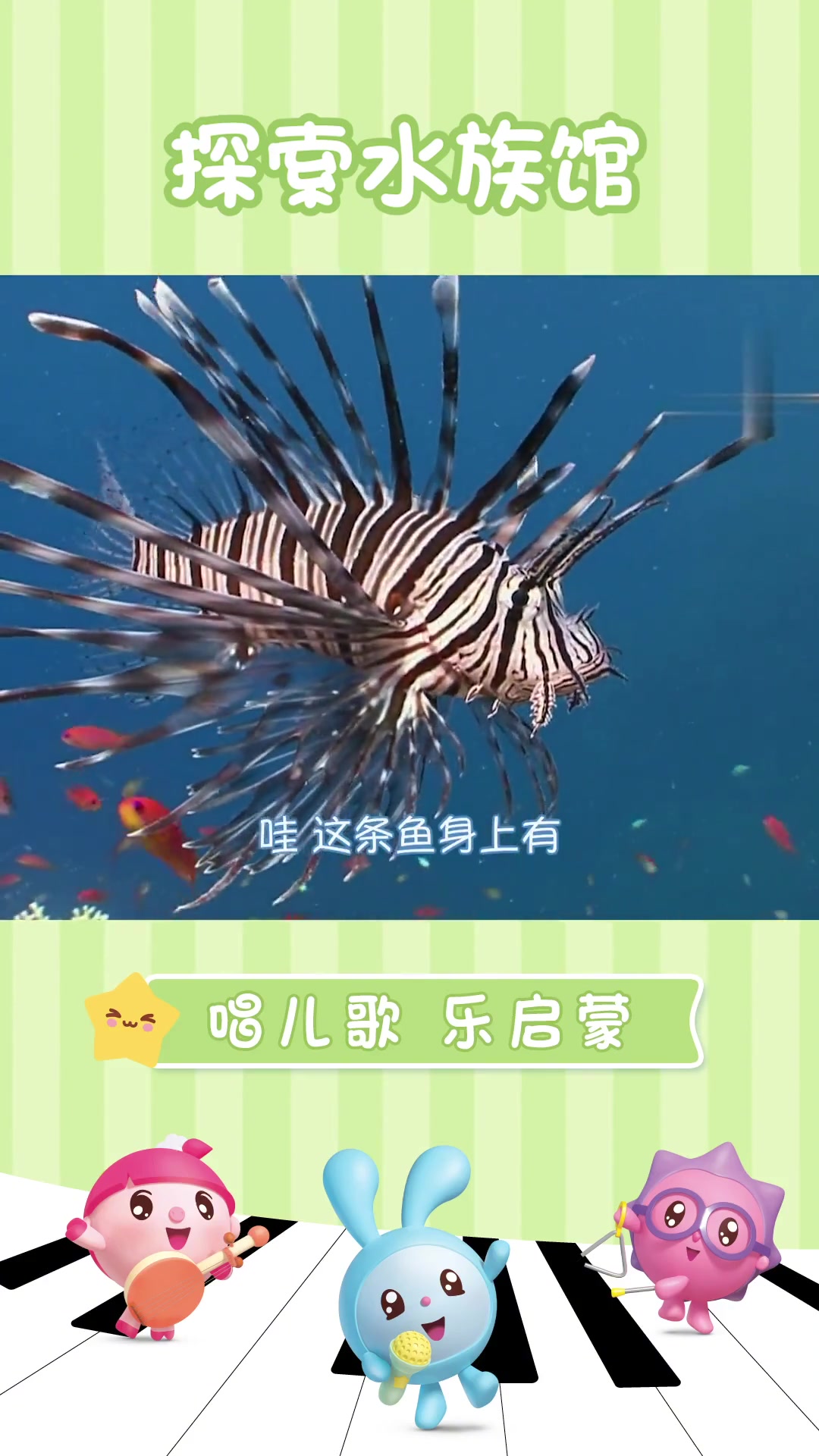 水族馆展示了来自各个海洋环境的各种奇妙生物，如鱼类、海龟、海藻、珊瑚等。可以带着孩子们一起
