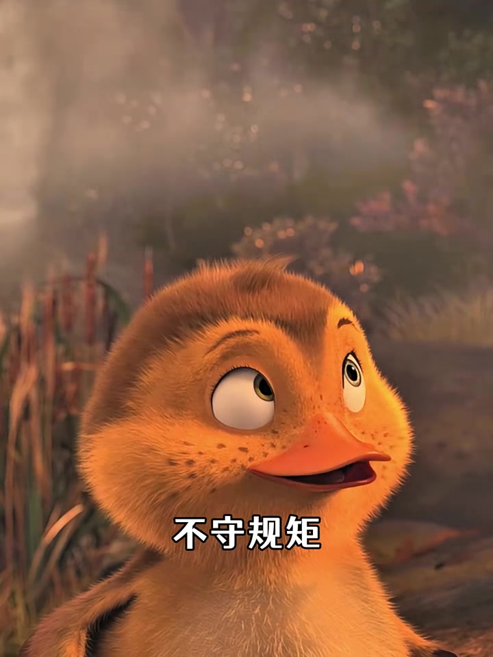 没有规矩，不成方圆~看妈妈咪鸭完整版  动漫剪辑 快成长计划 影画演绎未来之星