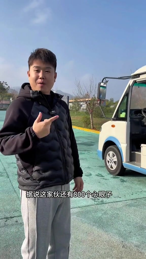 陕西秦岭巧克力色的大熊猫