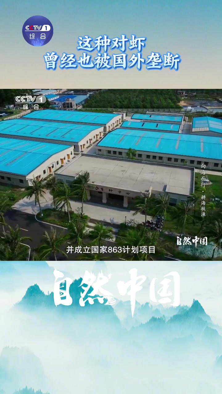 「中国人用10年打破南美白对虾垄断「good」」南美白对虾是餐桌上常见的虾类品种。曾经很长
