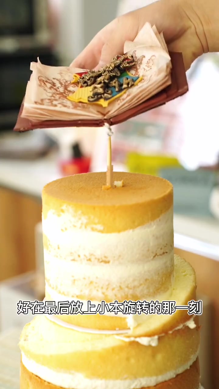 给我女儿做了个哈利波特的主题生日蛋糕，还跟我说下次做蛋糕不许使用魔法