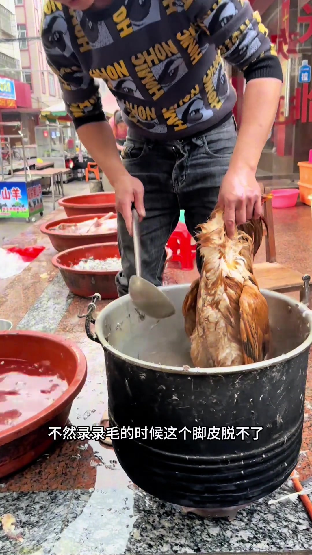 来了咯，整天说汤鹅汤鹅的，今天汤个给你看看了