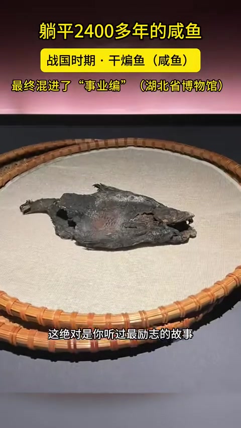 励志！咸鱼躺平2400多年，最终混进“事业编”