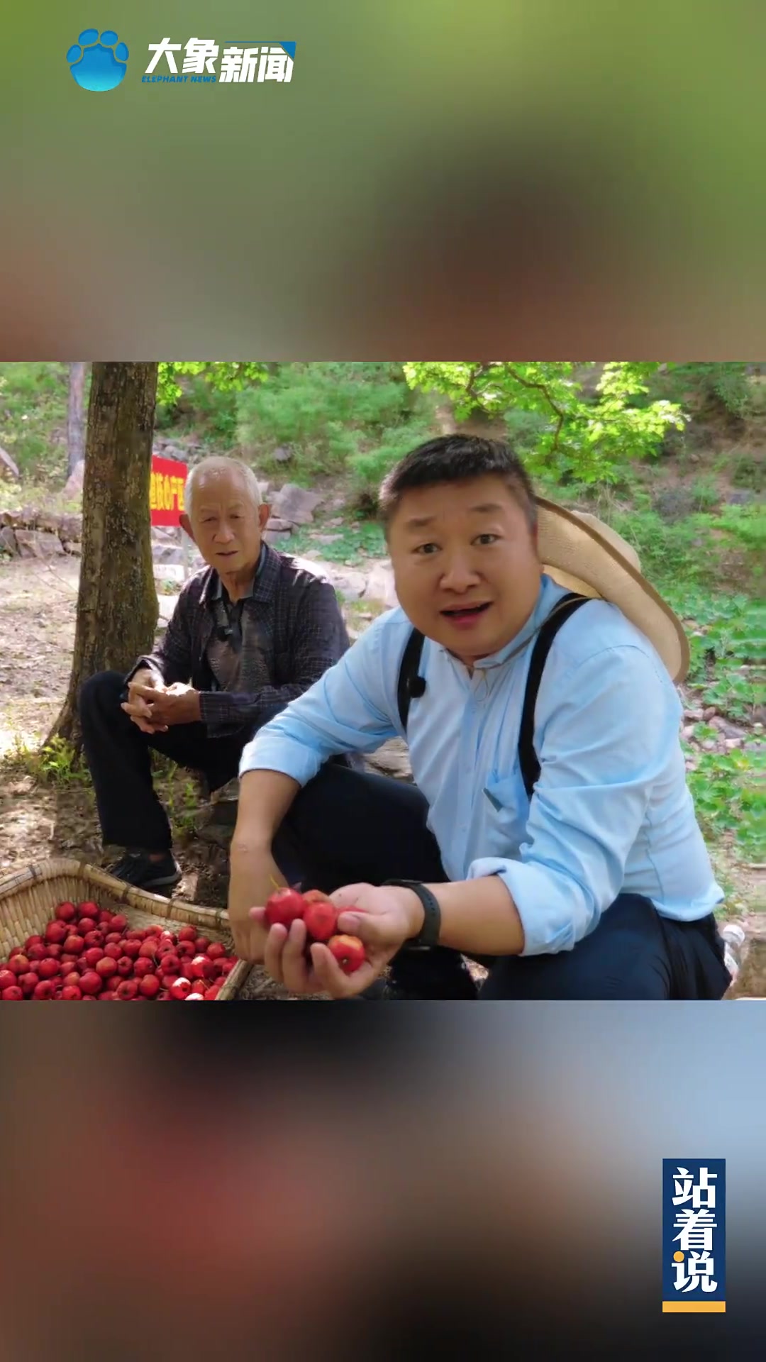 为了这口辉县山楂,大秦站着说了半天