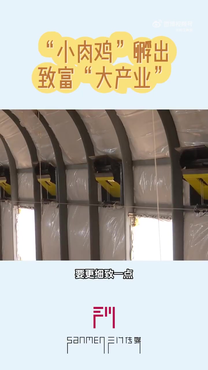 浙江省台州市三门县锚定农业现代化发展方向,激活了肉鸡养殖产业新动能,让现代化养殖设备在田间