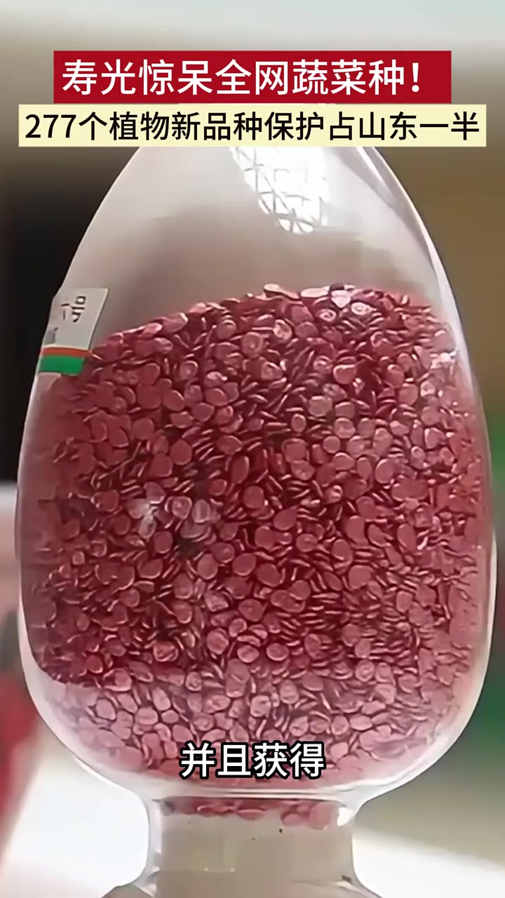 寿光惊呆全网蔬菜种！277个植物新品种保护占山东一半
