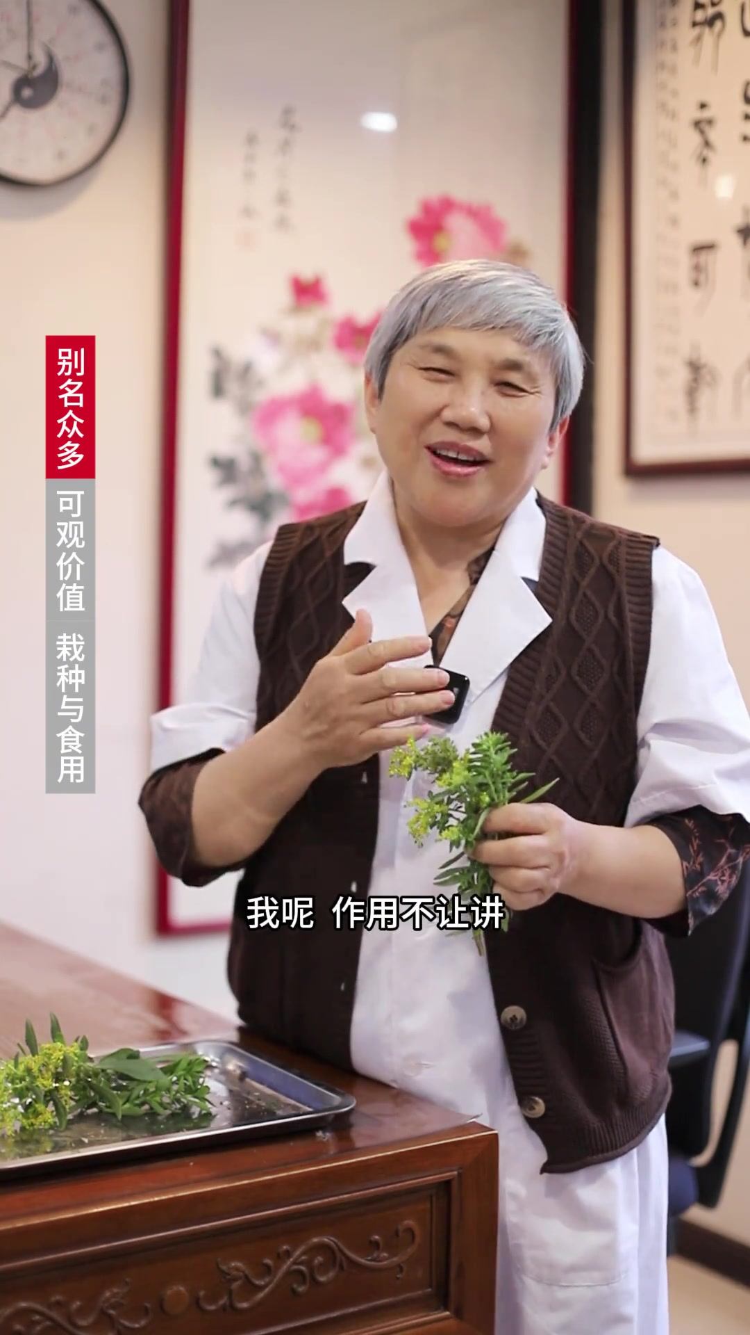 珍贵的野菜费菜,别名众多,营养丰富,值得栽种