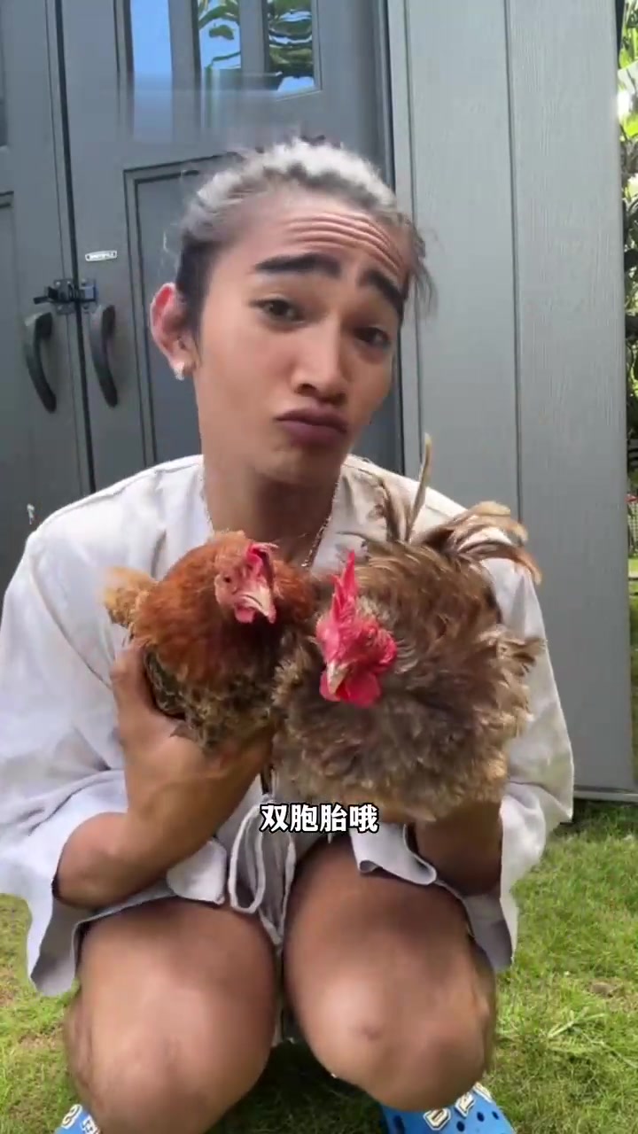 鸡主介绍40只观赏鸡和他们的名字