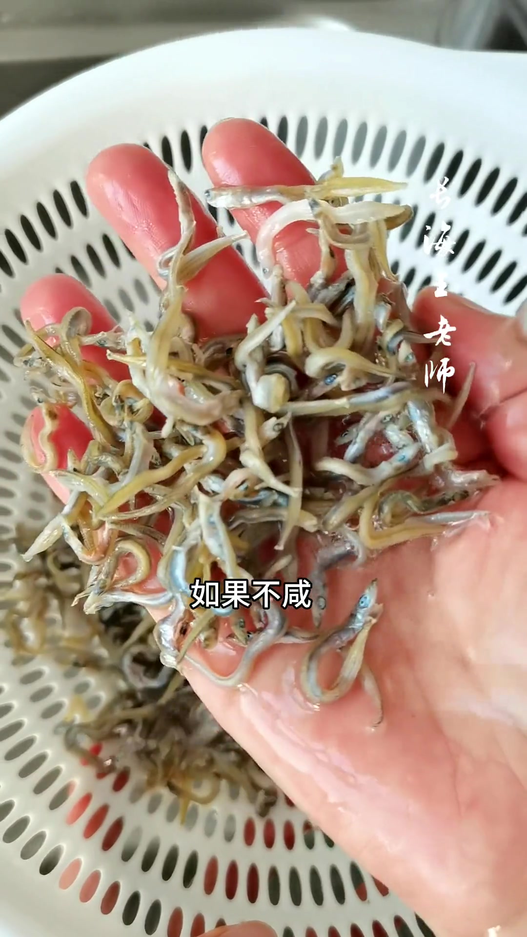 推荐长海县春天的美食——香辣小鱼干