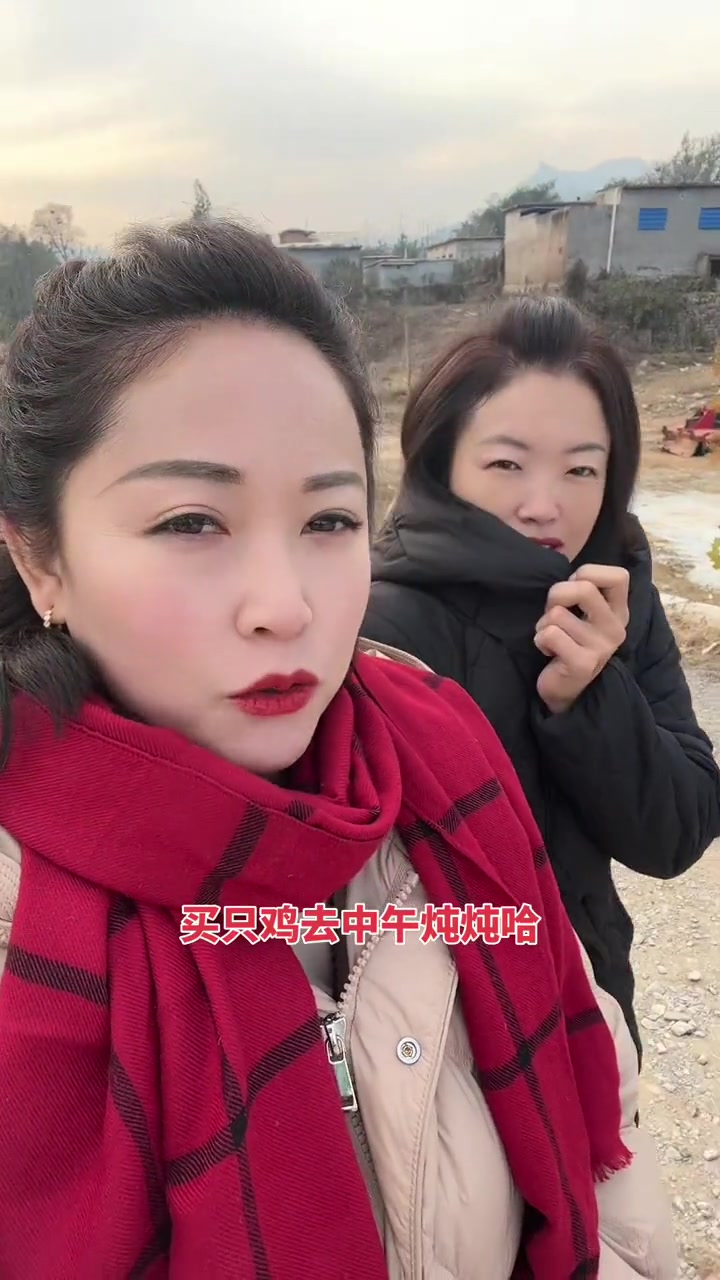 今天又来双泉了、赶个北浮集买只老母鸡给姐妹们炖炖吃