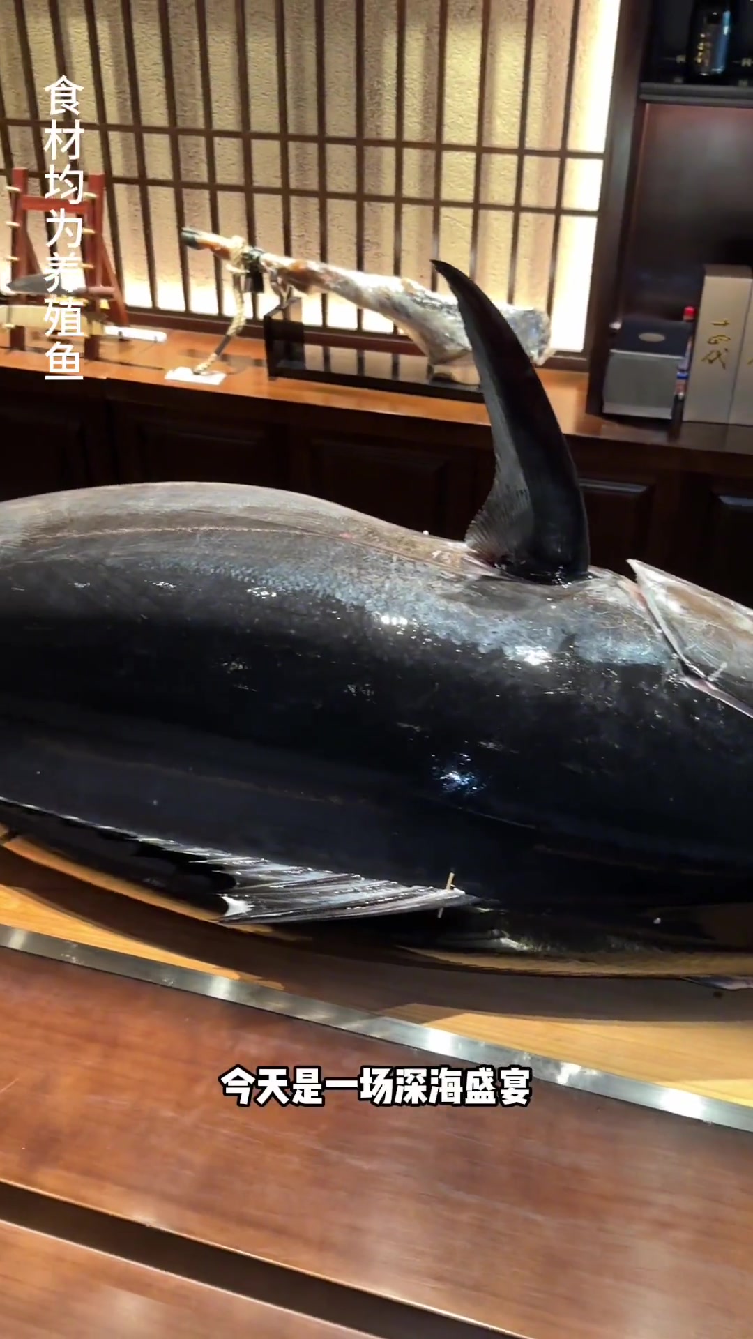 超震撼的蓝鳍金枪鱼开鱼宴!还有会飞的鱼和超大的法国蓝龙,快来一起尝尝鲜吧