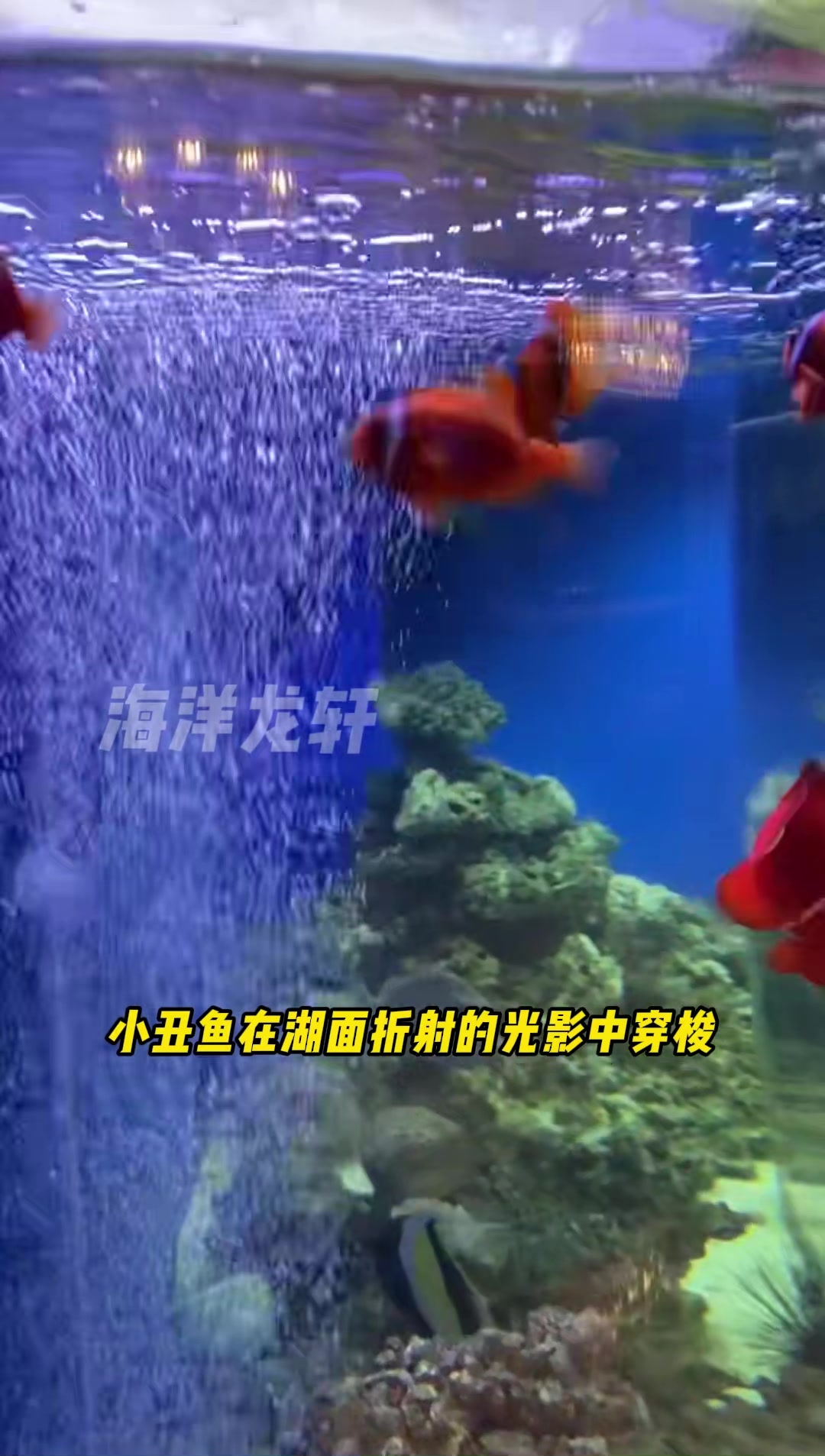 别墅弧形亚克力鱼缸设计