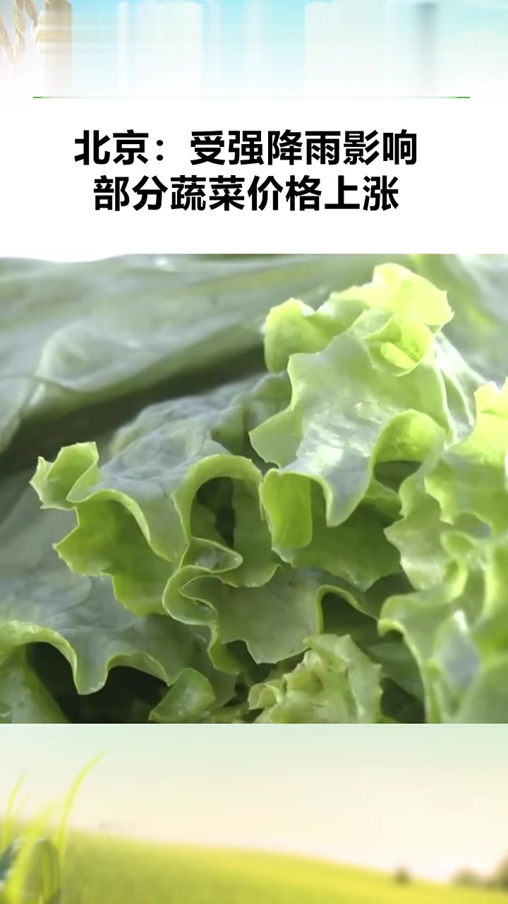 北京:受强降雨影响部分蔬菜价格上涨