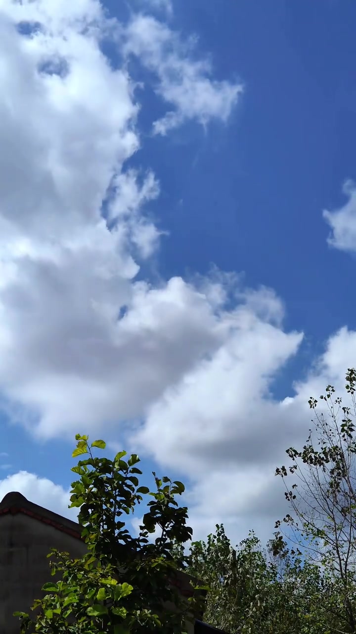 夏天做香辣劲道茄子干咸菜,比烧烤店烤茄子还过瘾