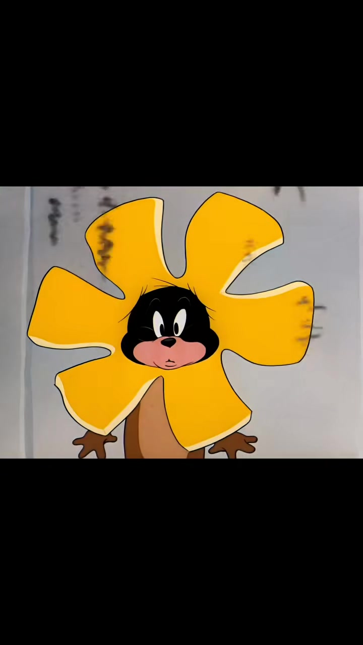 经典可爱的猫和老鼠趣事!