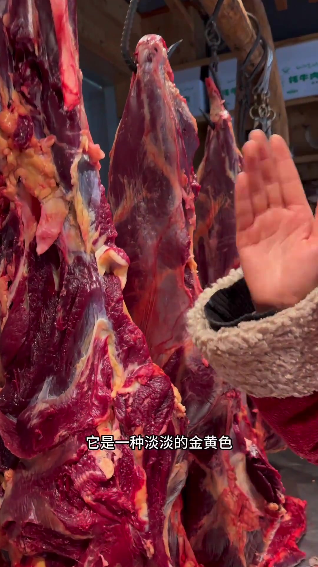 牛肉干原材料，真的是毛牛肉！