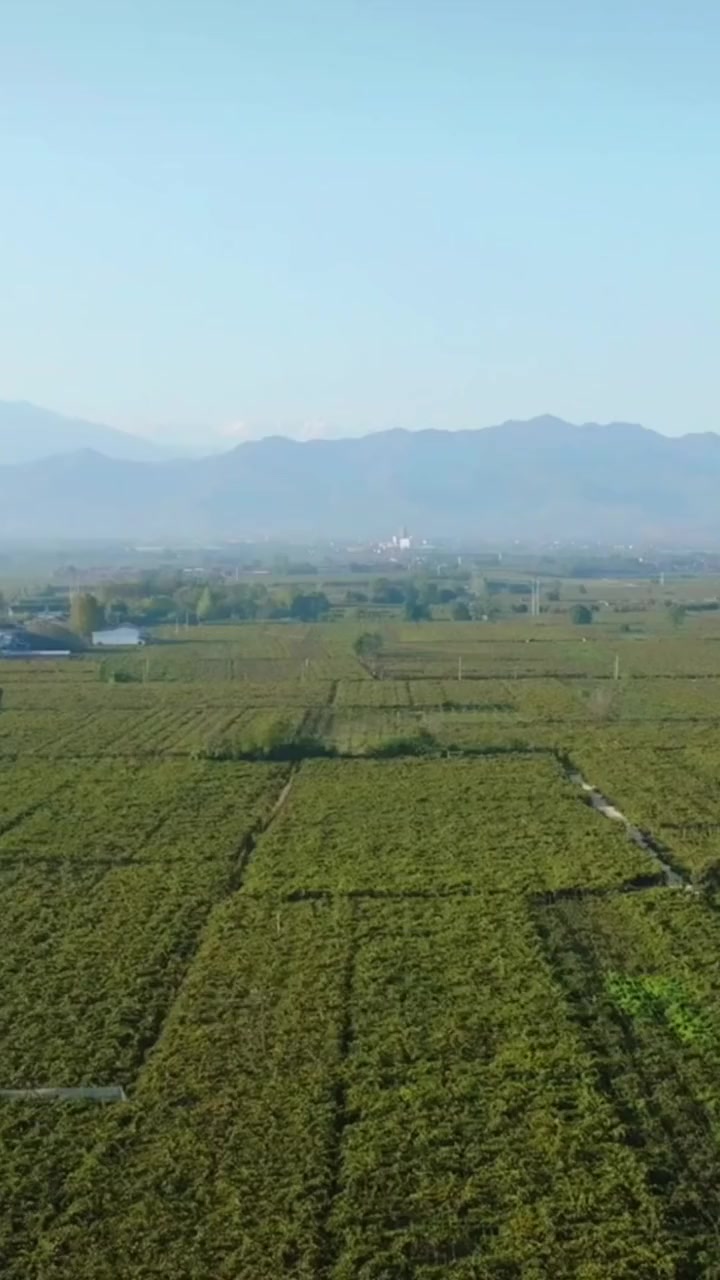东方甄选董宇辉来宝鸡！邀您共同鉴赏，眉县猕猴桃？酸甜刚刚好？