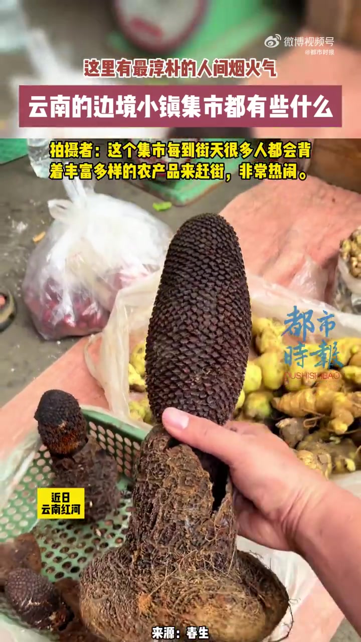 近日,云南红河。边境小镇的热闹集市,藏着意想不到的烟火气。在云南的边境小镇,每到赶集日,各