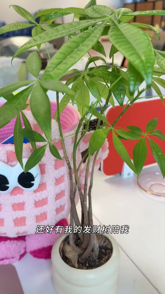 职场人的办公室下午茶，健达缤纷乐美味搭配