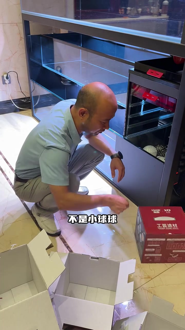 猛鱼缸即将迎来新伙伴，三层缸焕然一新，共同期待