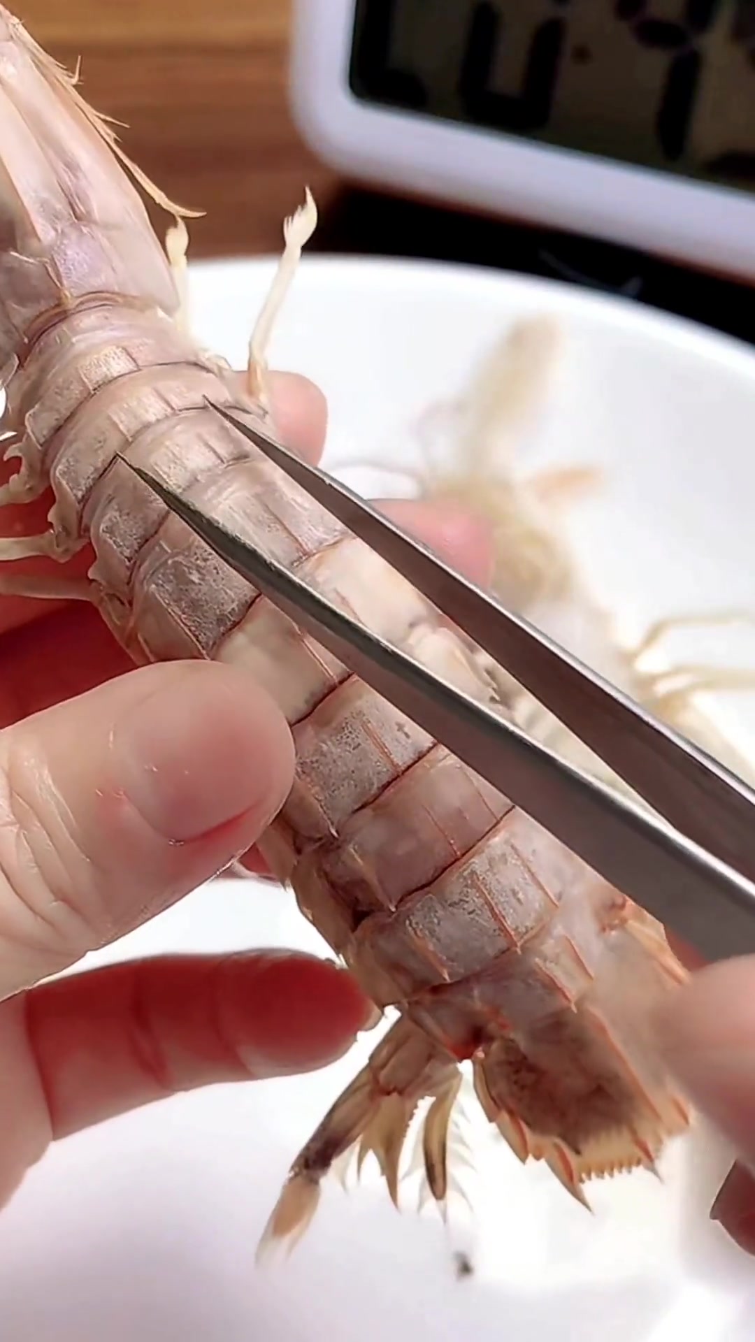 这样挑选皮皮虾个个都有黄有籽