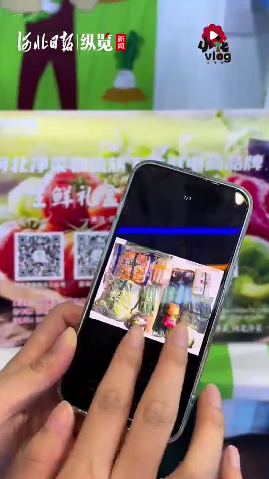 小花Vlog|“河北净菜”成为“北京好菜” 田间菜篮子如何提上餐桌?