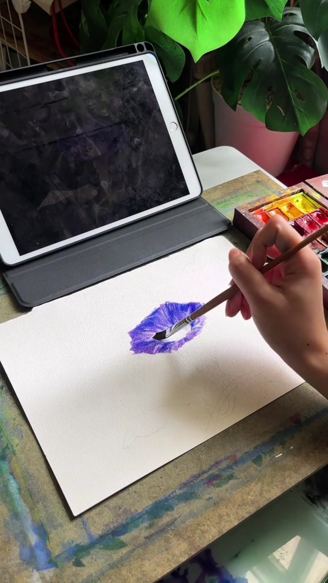 如何用水彩画牵牛花