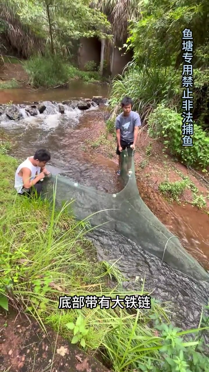 虎口八字网，急流抓点淡水溪鱼