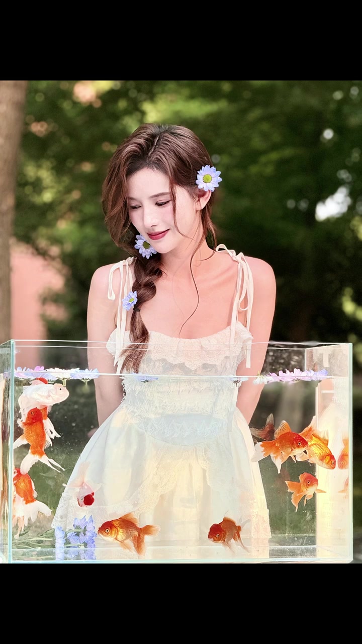 夏日限定的金鱼写真，超梦幻超有氛围感！