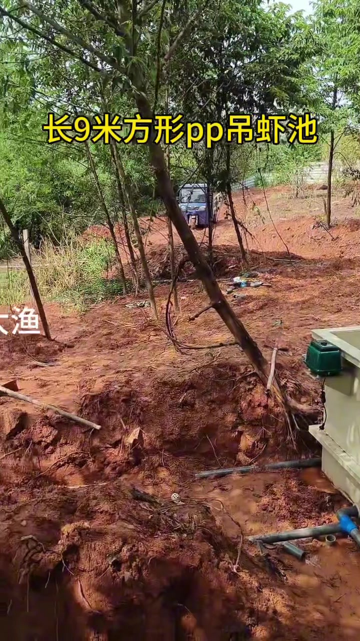 方形pp吊虾池#锦鲤鱼池 #鱼虾蟹养殖 #支持定做各种尺寸