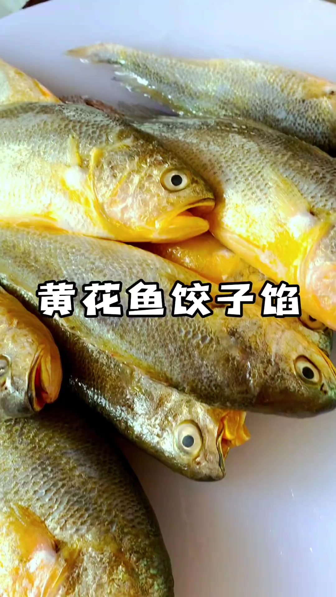 新鲜黄花鱼这样调馅,饺子鲜香到爆!