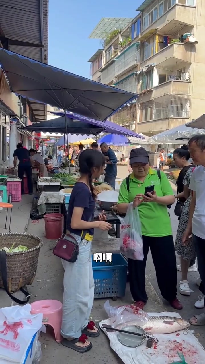 花五百包塘抓到的所有鱼货,拿去集市摆摊,看看到底能挣多少钱?三农 户外 甲鱼 农村生活